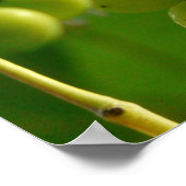 Poster Raisins (Coin)