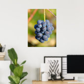 Poster Raisins (Bureau à domicile)