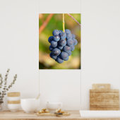 Poster Raisins (Cuisine)