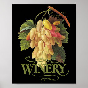 Poster Raisins de blancs de Cornichons