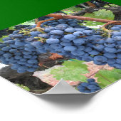 Poster Raisins de Napa Valley (Coin)