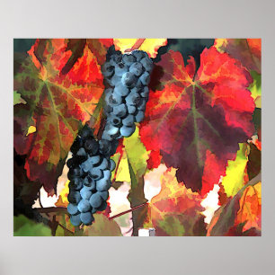 Poster Raisins de récolte et Feuilles
