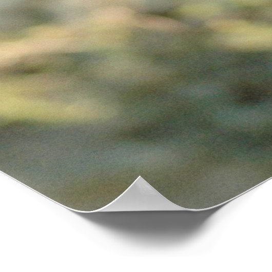 Poster Raisins toscans (Coin)