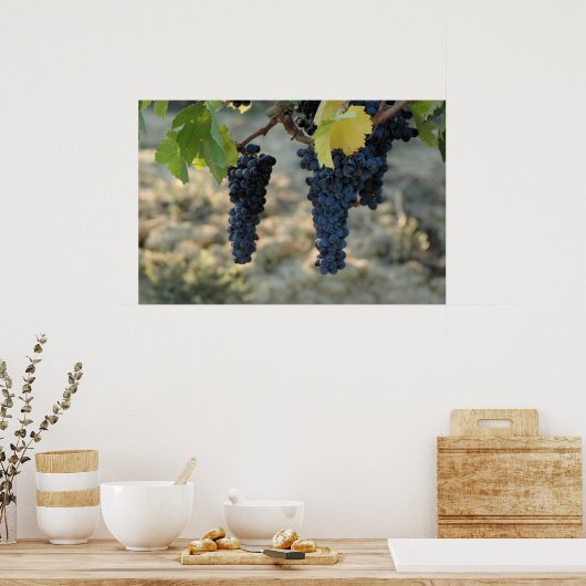 Poster Raisins toscans (Cuisine)