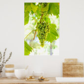 Poster Raisins verts sur vigne (Cuisine)