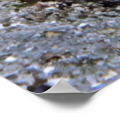 Poster Raja Ampat Sweetlips (Coin)