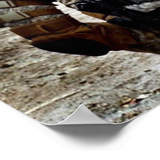 Poster Rakkasan (Coin)