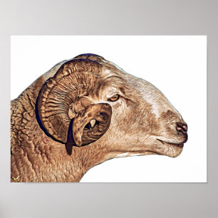 Poster Ram Sheep Visage Ferme Animaux Nature Art
