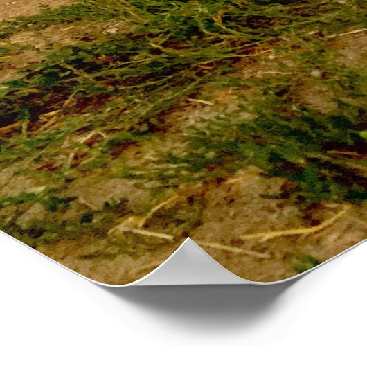 Poster Ramassage Chevy 1954 (Coin)