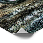 Poster ramassage de la tige de rat (Coin)