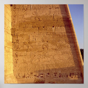 Poster Ramesses III chasse les taureaux sauvages