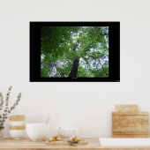 Poster Ramsey Canopy (Cuisine)