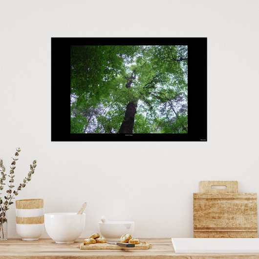 Poster Ramsey Canopy (Cuisine)