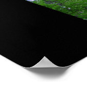 Poster Ramsey Canopy (Coin)