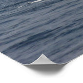 Poster Rana (D 52) (Coin)