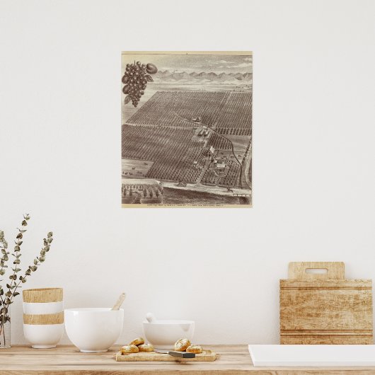 Poster Ranch de fruits de Chapin (Cuisine)