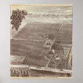 Poster Ranch de fruits de Chapin (Devant)