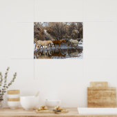 Poster Ranch du cheval Hideout (Cuisine)