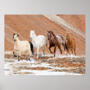 Poster  Ranch Hideout avec petit troupeau de chevaux dans