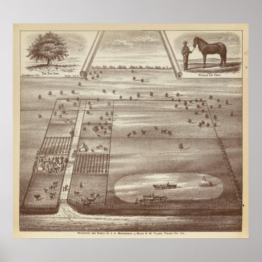 Poster Ranch Oakdale (Devant)