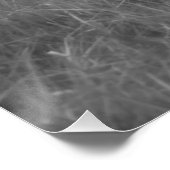 Poster Randonnée à cheval blanc dans le pâturage équin B& (Coin)