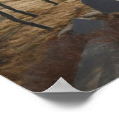 Poster Randonnée dans les collines (Coin)