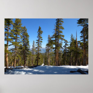 Poster Randonnée de Mitchell Peak à Sequoia