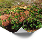 Poster Randonnée Le sentier des piscines d'émeraude à Zio (Coin)