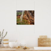 Poster Randonnée Le sentier des piscines d'émeraude à Zio (Cuisine)