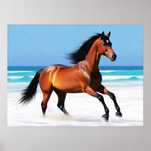 Poster Randonnée pédestre sauvage sur une plage