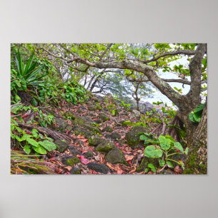 Poster Randonnée sur le sentier Kalalau, la côte de Napal