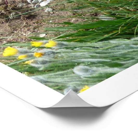 Poster Randonnées, Trail Marker, Grand Tour des Alpes (Coin)