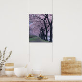 Poster Rangée de cerisiers en fleurs (Cuisine)