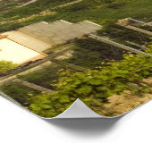 Poster Rangées de vignes au premier plan cadre le (Coin)