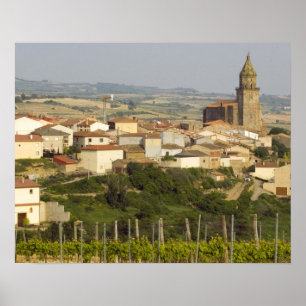 Poster Rangées de vignes au premier plan cadre le
