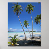 Poster Rangiroa (Devant)