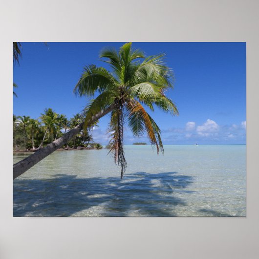 Poster Rangiroa Blue Lagoon Palm Tropical (Devant)