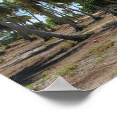 Poster Rangiroa voie vers le paradis (Coin)