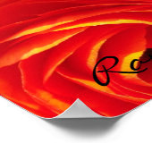 Poster Ranunculus (Coin)