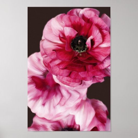 Poster Ranunculus rouge (Devant)