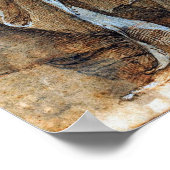 Poster Raphael - Les Prophètes Hosea Et Jonah (Coin)