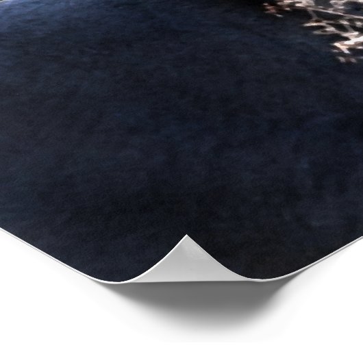 Poster "Raphael & Snowy Trees" (Coin)