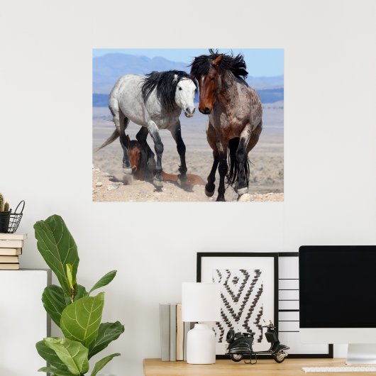 Poster Rapide et furieux (Bureau à domicile)