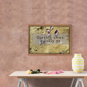 Poster Rapidement venir rapidement aller inspiration post