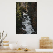 Poster Rapides en Colombie-Britannique (Cuisine)