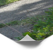 Poster Rappelez-vous quand le camp d'enfance cite (Coin)