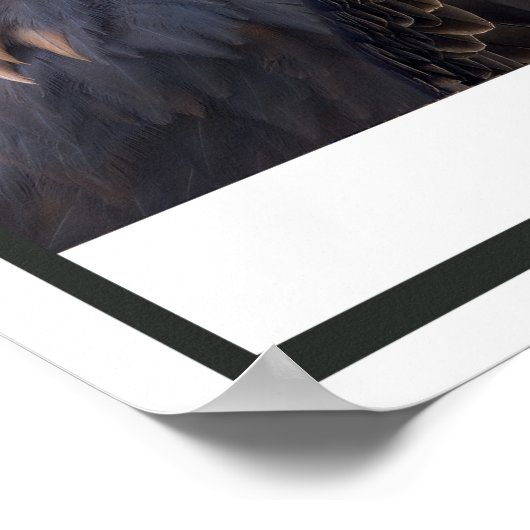 Poster Rapporteurs de l'Ouest (Coin)