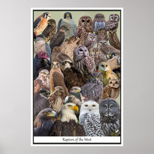 Poster Rapporteurs de l'Ouest (Devant)