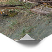 Poster Rapporteurs de l'Ouest (Coin)