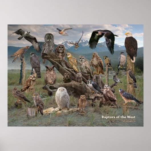 Poster Rapporteurs de l'Ouest 2019 (Devant)